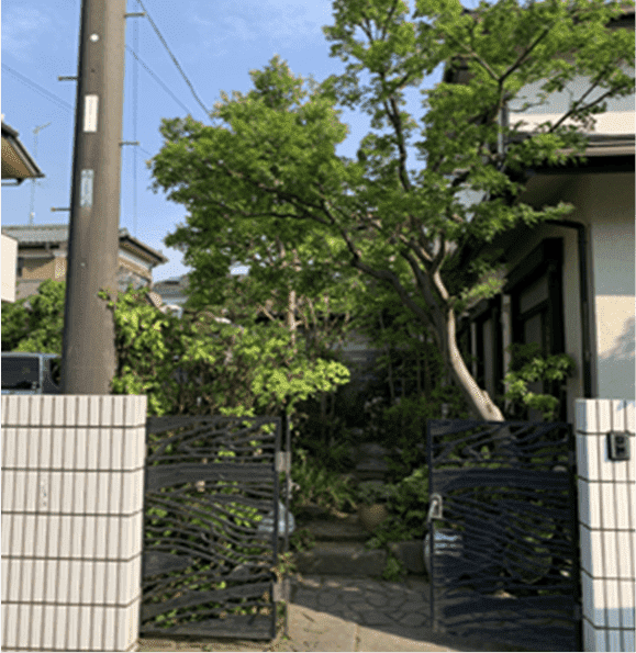 福岡県北九州市 刈り込み枝落とし